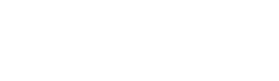 Turnkey CFO logo